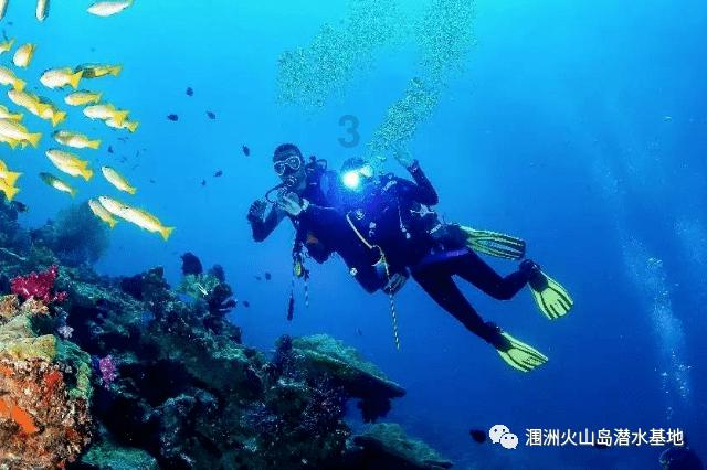 小猫钓鱼游戏龙王版有船